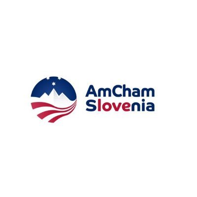 amcham logo